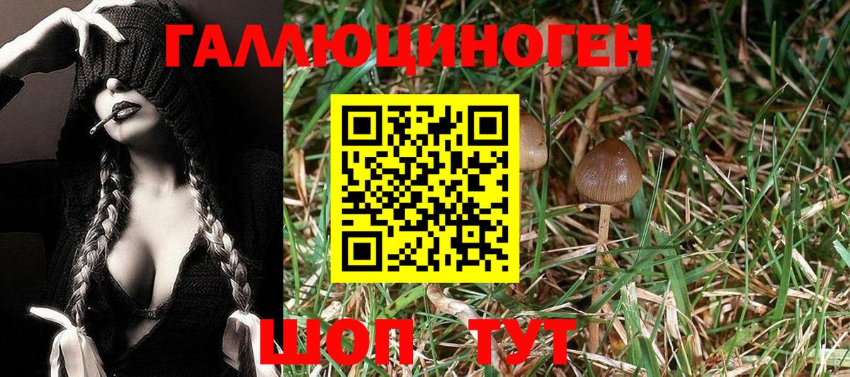 Псилоцибиновые грибы ЛСД Полысаево